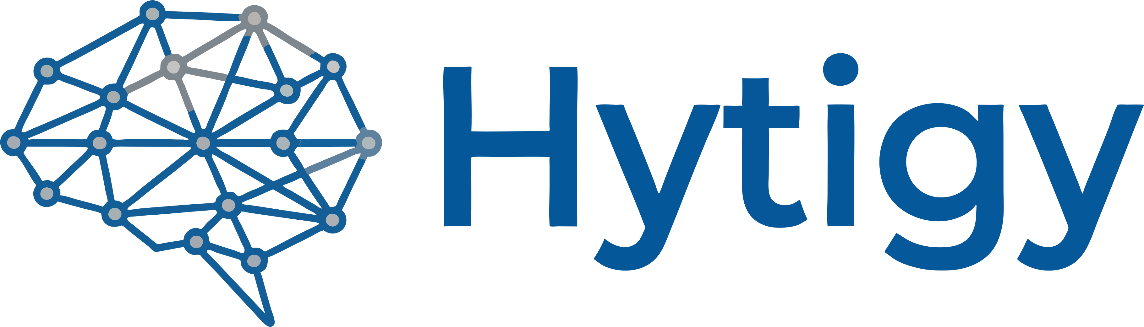 Hytigy